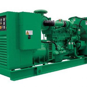 進(jìn)口發(fā)電機組