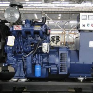 進(jìn)口發(fā)電機組